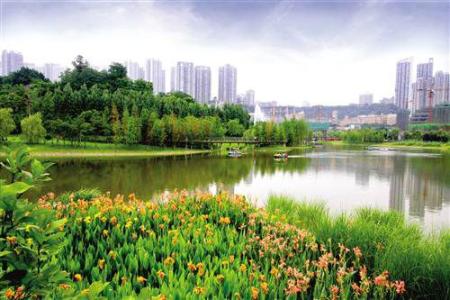 山东1.2亿元支持绿色生态示范城区（镇）建设